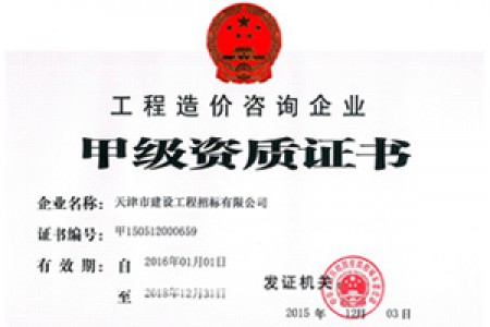 造價(jià)咨詢(xún)甲級資質(zhì)正本