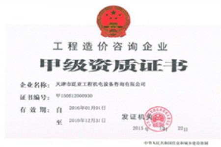 造價(jià)咨詢(xún)甲級